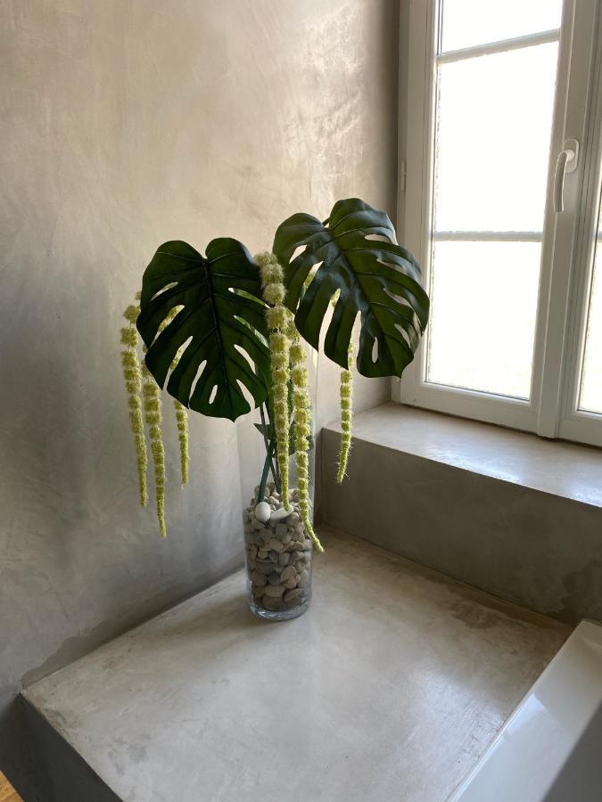 Le Logis Gout Apartamento Carcassonne Exterior foto